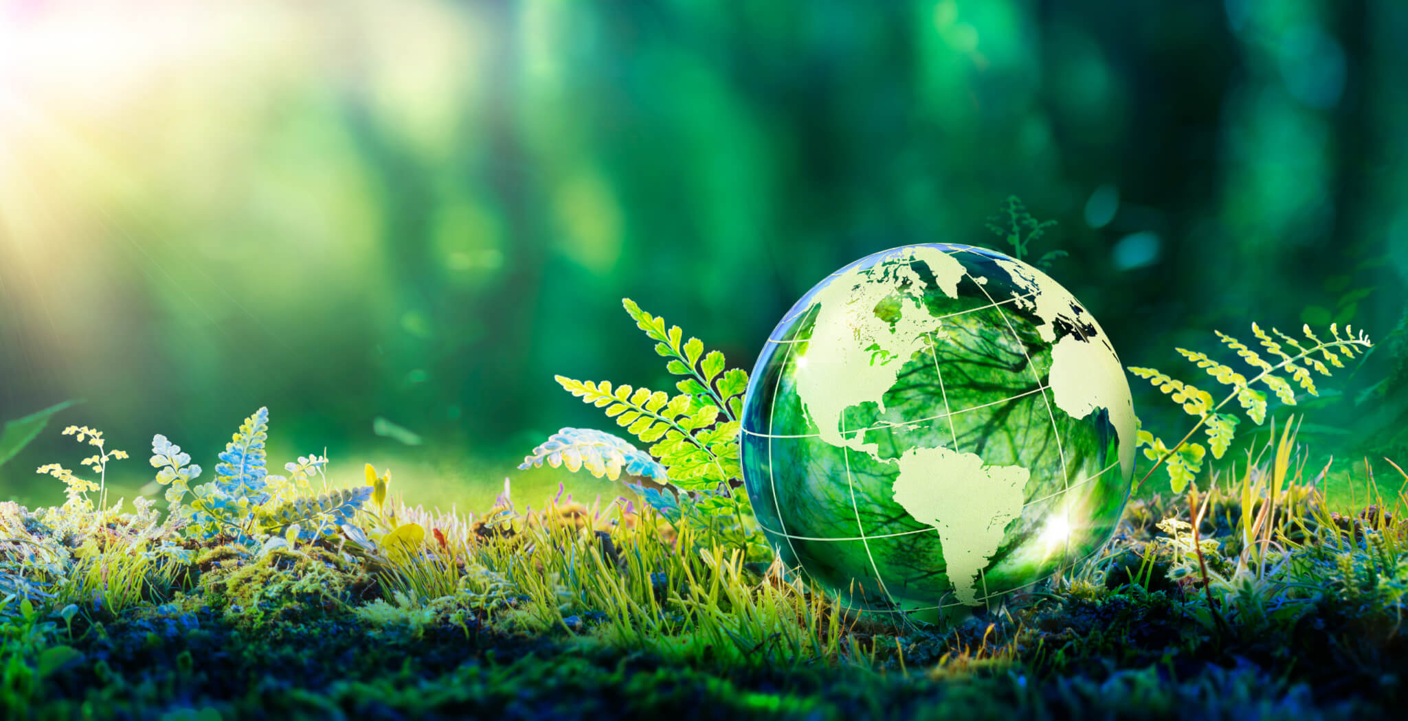 Yapkimya Environment Policy